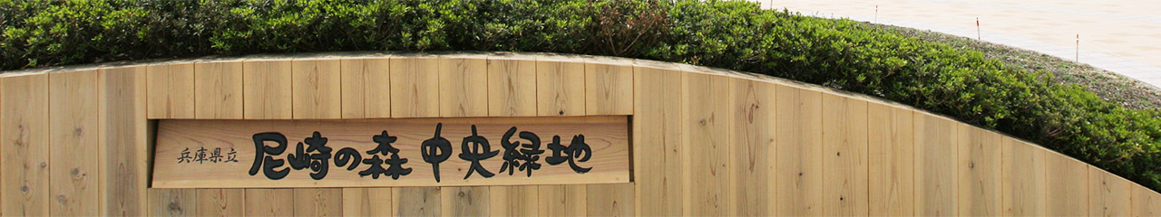 アクセス・所在地